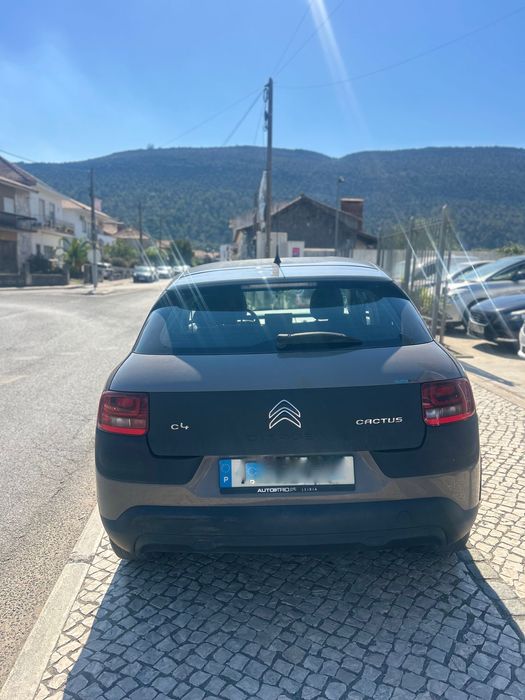 Citrien C4 Cactus
