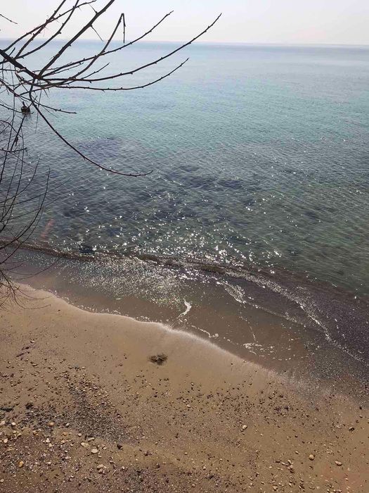 Сдаётся дача на берегу моря со своим пляжем