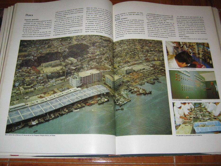 Livro - Corea 1945/1975