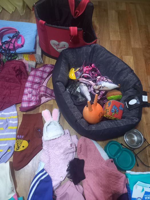 Продам одежду для собак, одяг той терьера,, чихуа, одежда для йорка