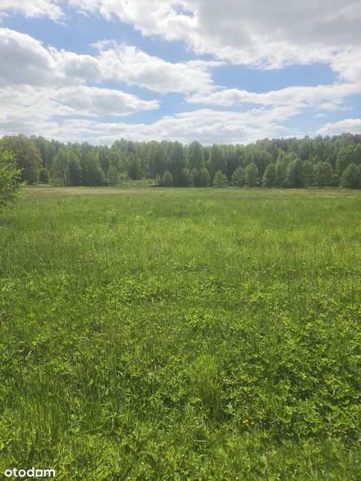 Działka Budowlana z warunkami zabudowy Baran gm Mniów