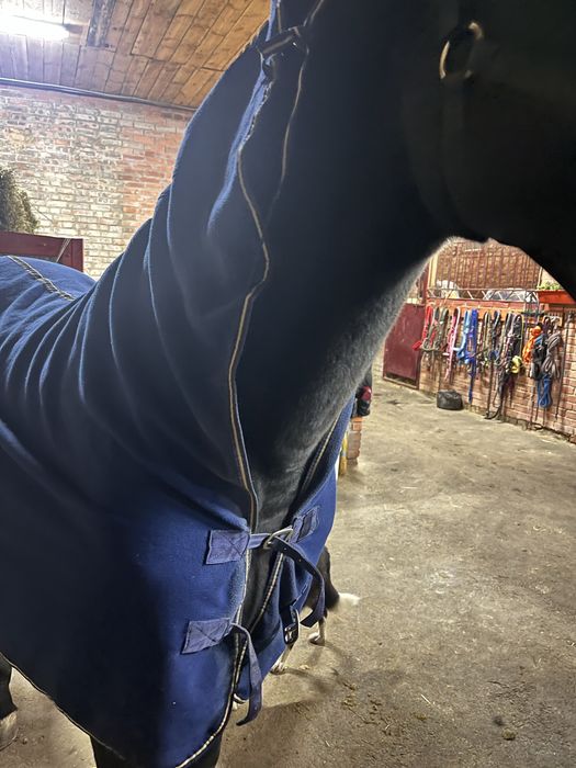 Попона флісова для коня