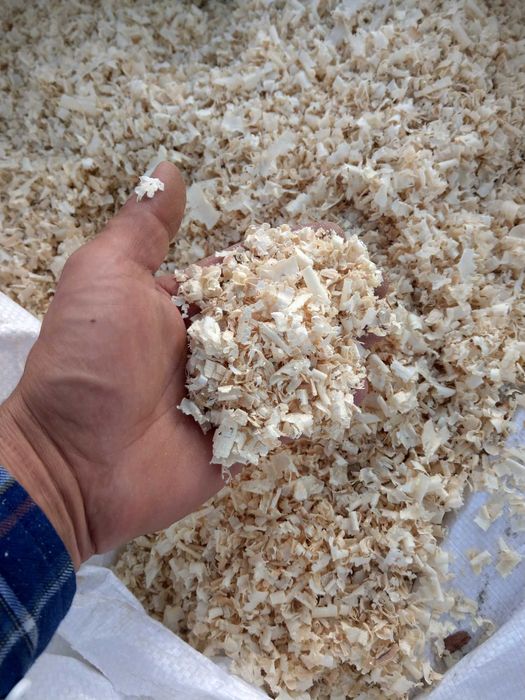 Wióry sosnowe - worek 400 litrów 15-20 kg