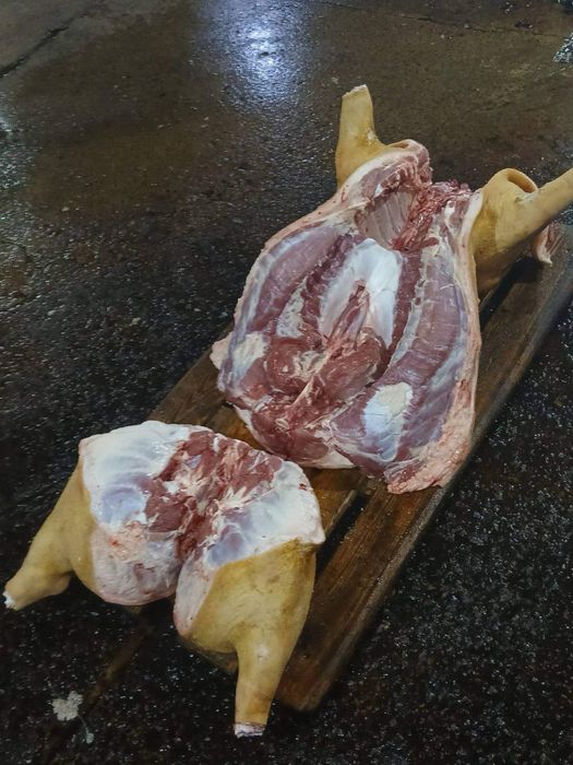 Продаж СВИНИНИ - свіже мʼясо!