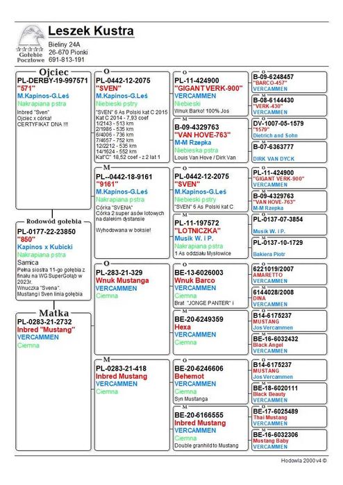 Gołębie pocztowe Leszek Kustra - samiec 2023r nr 10173