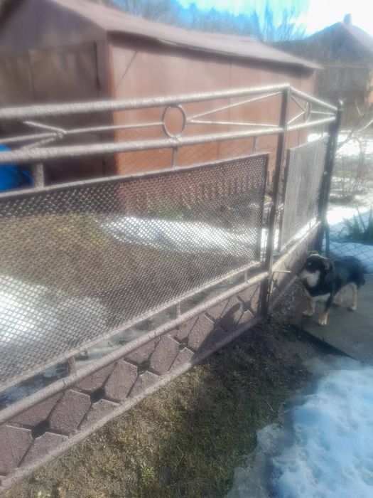 Вхідна брама з хвірткой