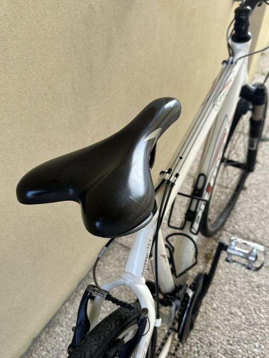 Bicicleta Adulto