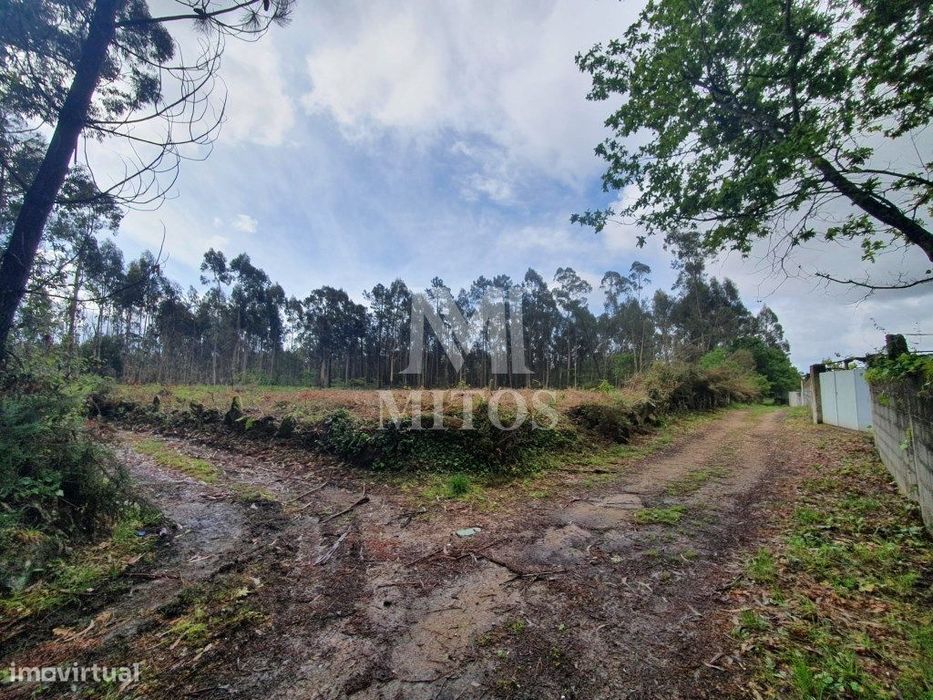 Terreno Aplanado Zona Industrial - Vila de Punhe/Barroselas — Vila de Punhe, Viana do Castelo