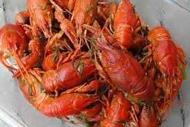 Продам раки живые свежие та вареный