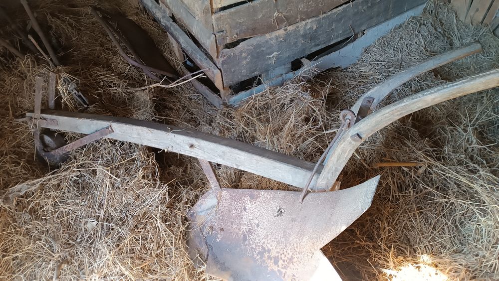 Carro de bois e outras antiguidades