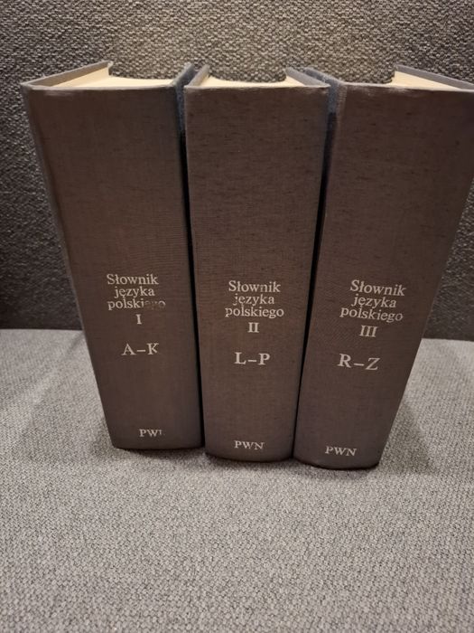 Slownik jezyka polskiego x 3