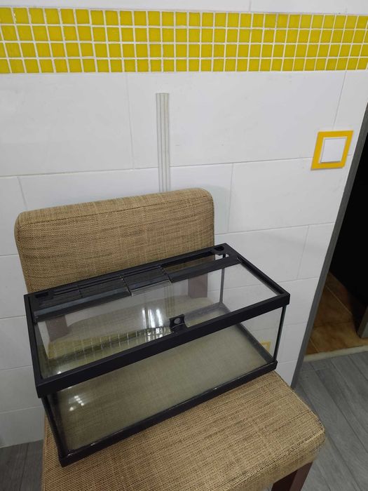Aquário de Peixes Apenas 13euros