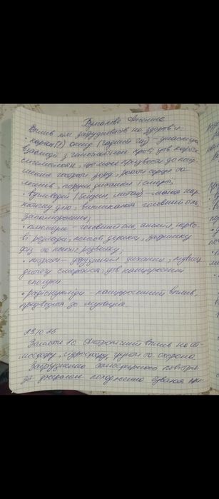 Пишу конспекти і реферати від руки, друкую на комп'ютері