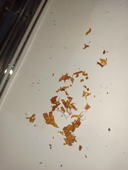 Maquina Cortar Massa 2mm