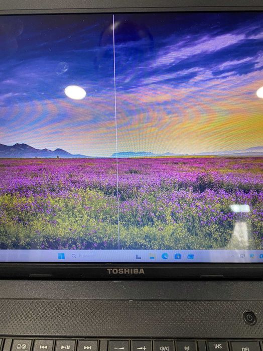 Toshiba Satellite C850