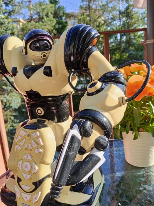Robot interaktywny
