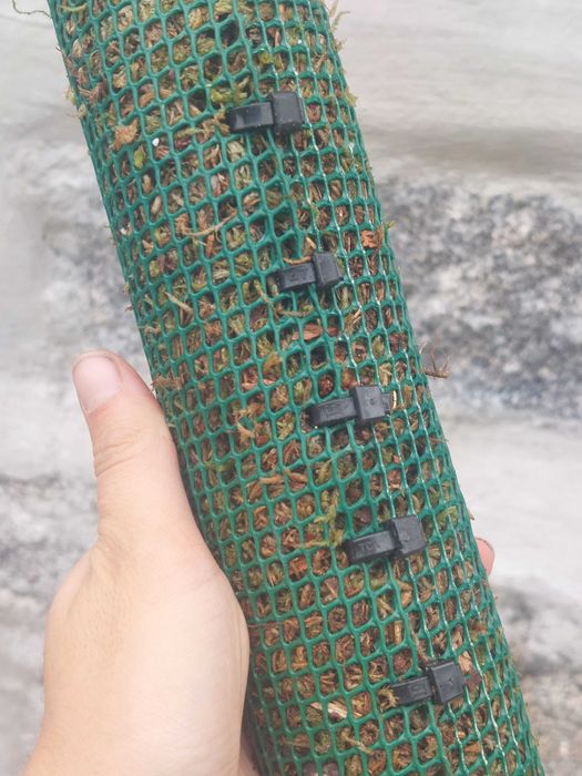 Moss Trellis – Custom-Made64332154202881123