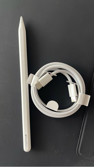 Ipad 512 MB 13” com Apple pencil e capa