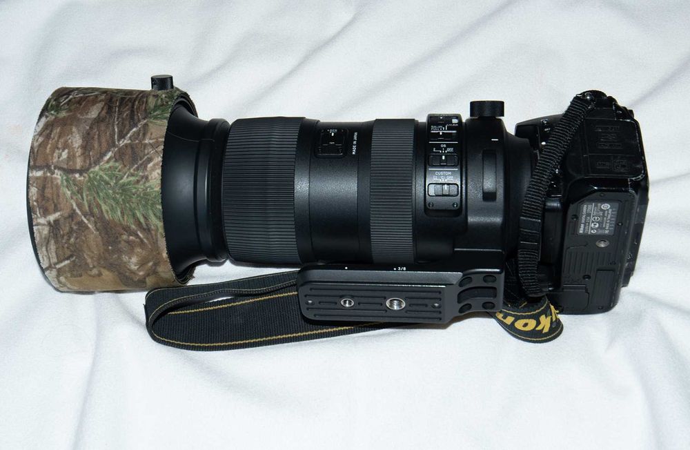 Sigma 60-600mm f/4.5-6.3 DG OS HSM Sports (Nikon F) + Nikon D7000