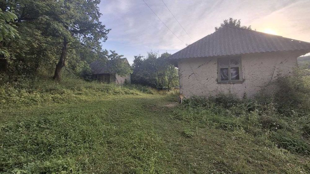Продається будинок35 м2 і земельна ділянка 50 соток в с. Гостів, електрика, бізнес, сонячні панелі, дохід