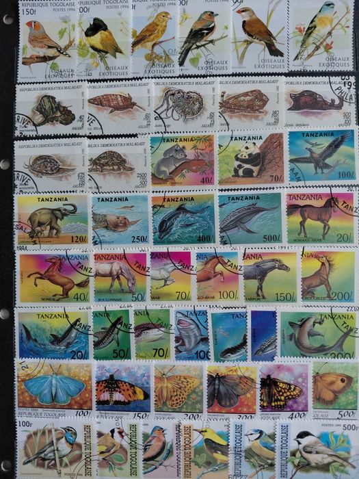 Марки поштові країн Африки. 56 серій,353 марки.