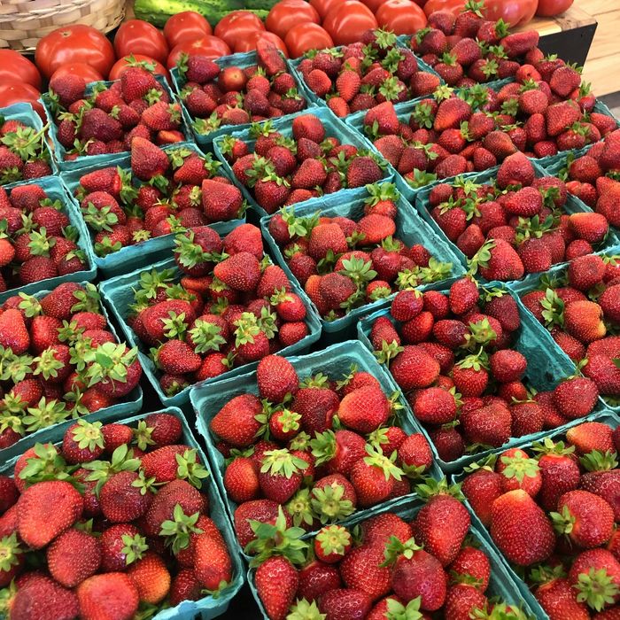 Саджанці полуниці, малини та смородини оптом, Родріб. Кращі сорти