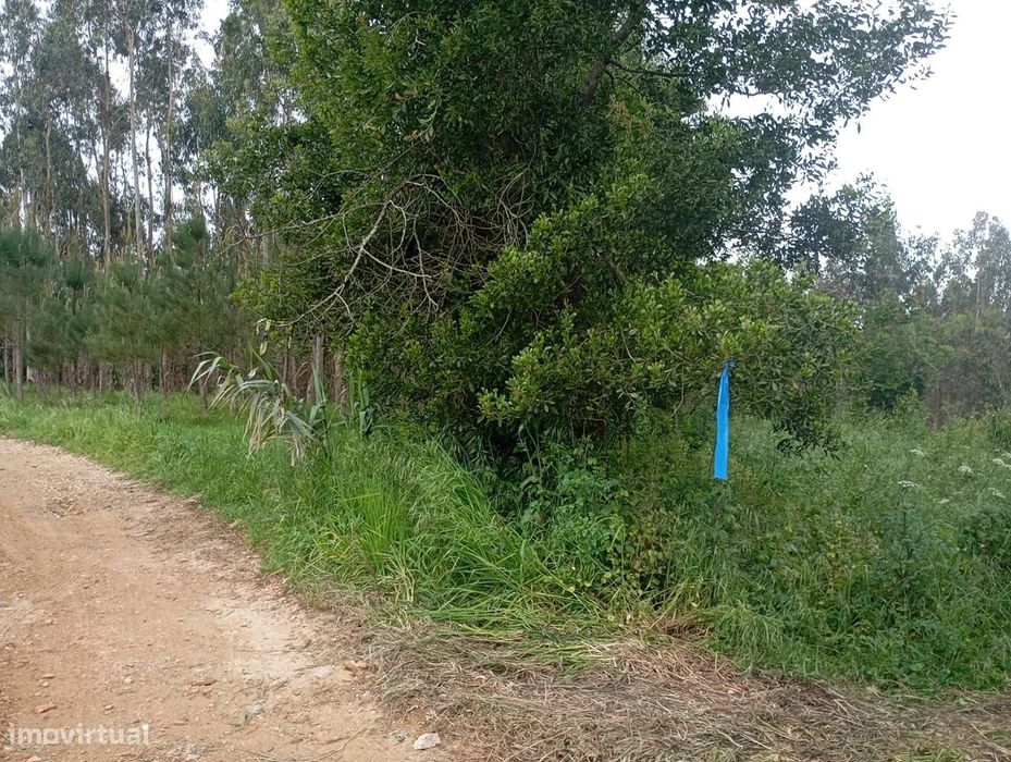 Terreno  com moinho, na rota dos mionhos em Ouca – Vagos
