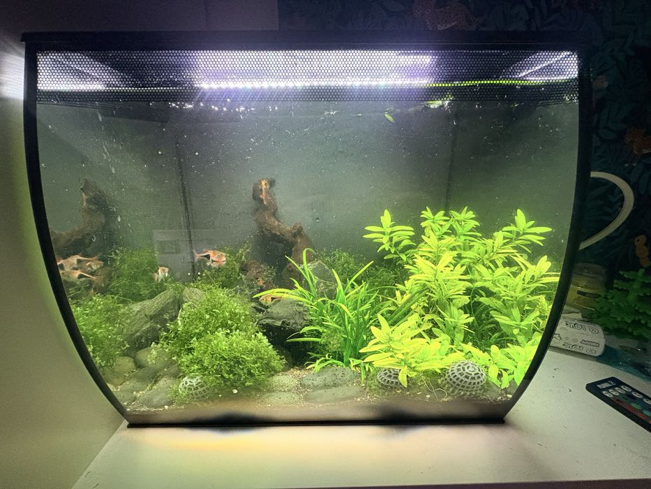 Akwarium Fluval Flex 57 L kompletny zestaw led filr rybki rośliny