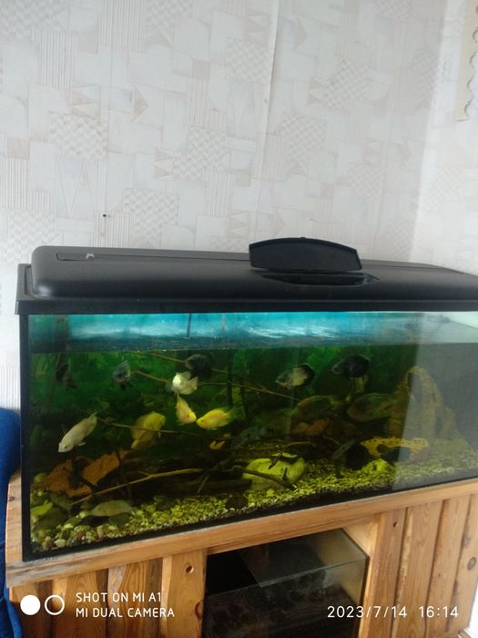 Акваріум 450л ,,,
