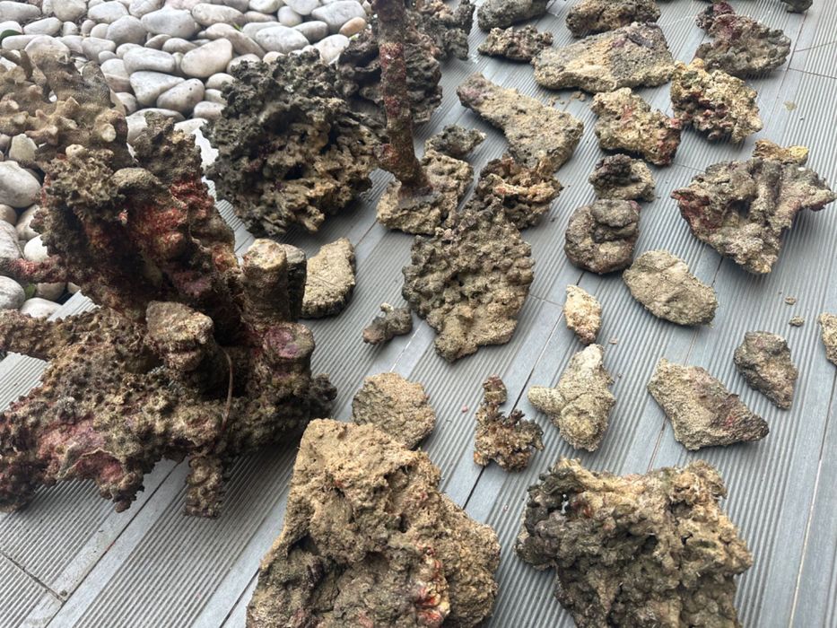 Rocha viva de aquário Reef (água salgada) 71kg