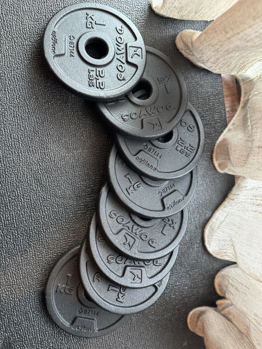 Discos de 1kg (8 unidades)