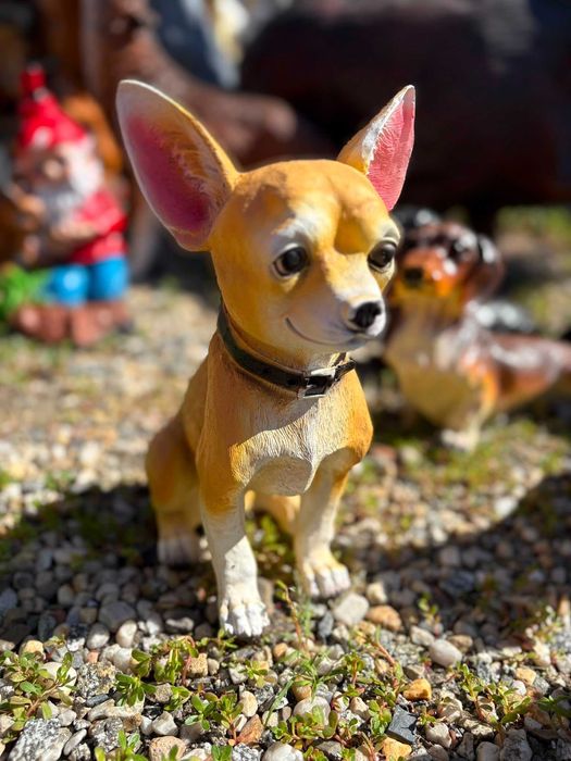 Figura ogrodowa Chihuahua