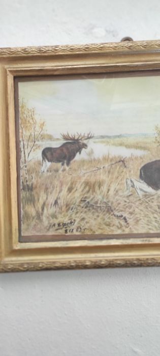 Stary obraz myśliwski Łoś, złota  Rama