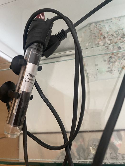 Termostato de aquario