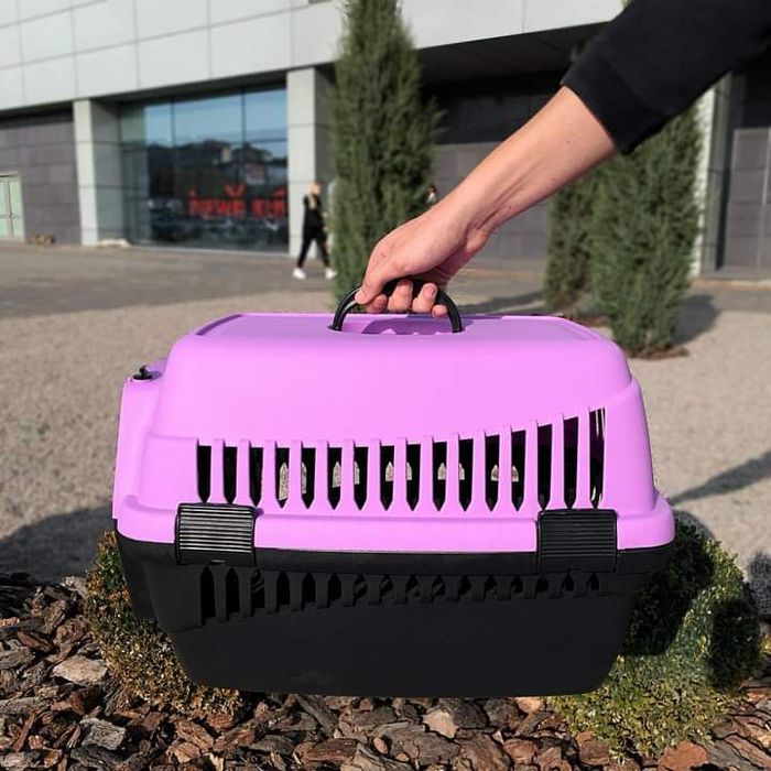 Переноски, бокси для кішок і собак