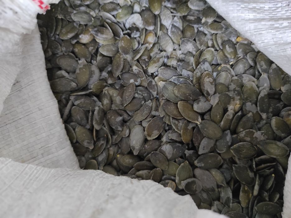 Насіння гарбуза/ голонасінка/ штирійське