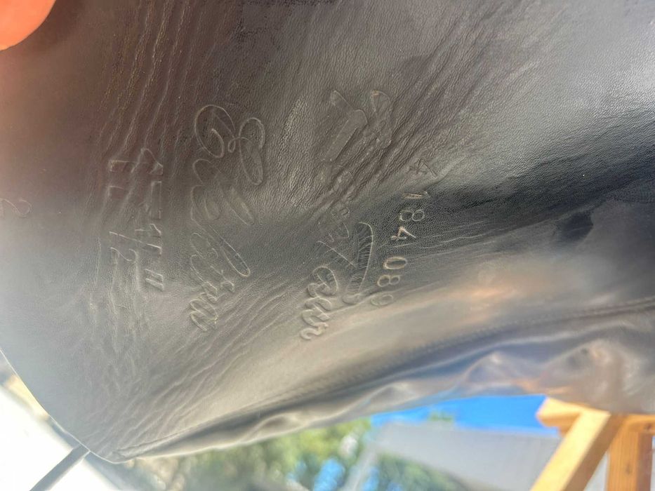 Sela Dressage cavalos