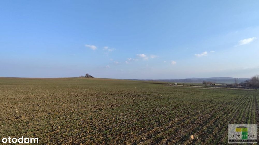 Atrakcyjne działki budowlane w Słupicach