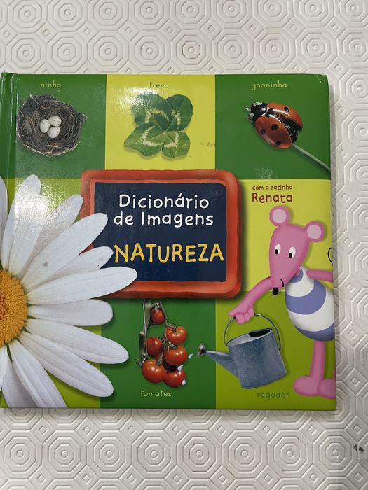 Dicionários Ilustrados - 4 livros