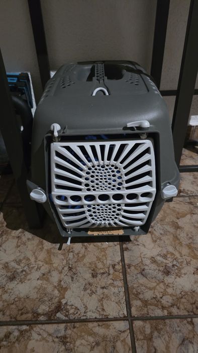 Torre Gatos + Transportadoras e Acessórios