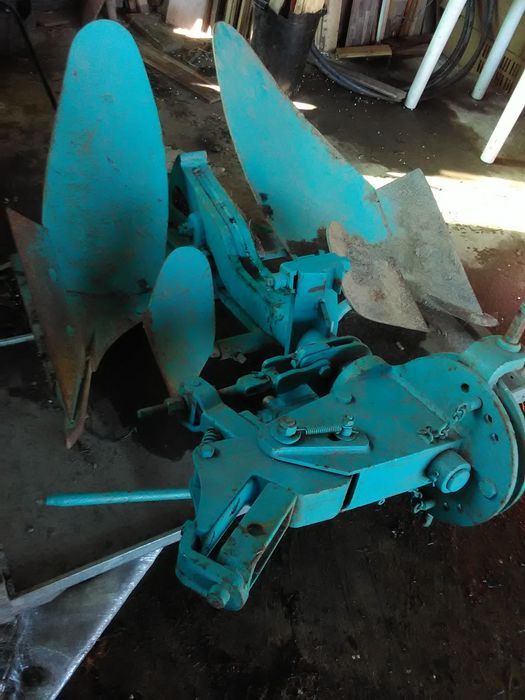 Poda de árvores / Palmeiras