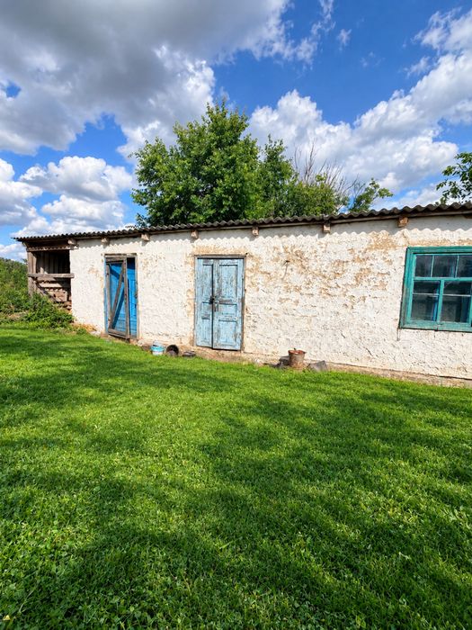 Продам будинок  , село Красне ( Білоцерківський район )Киівська  область