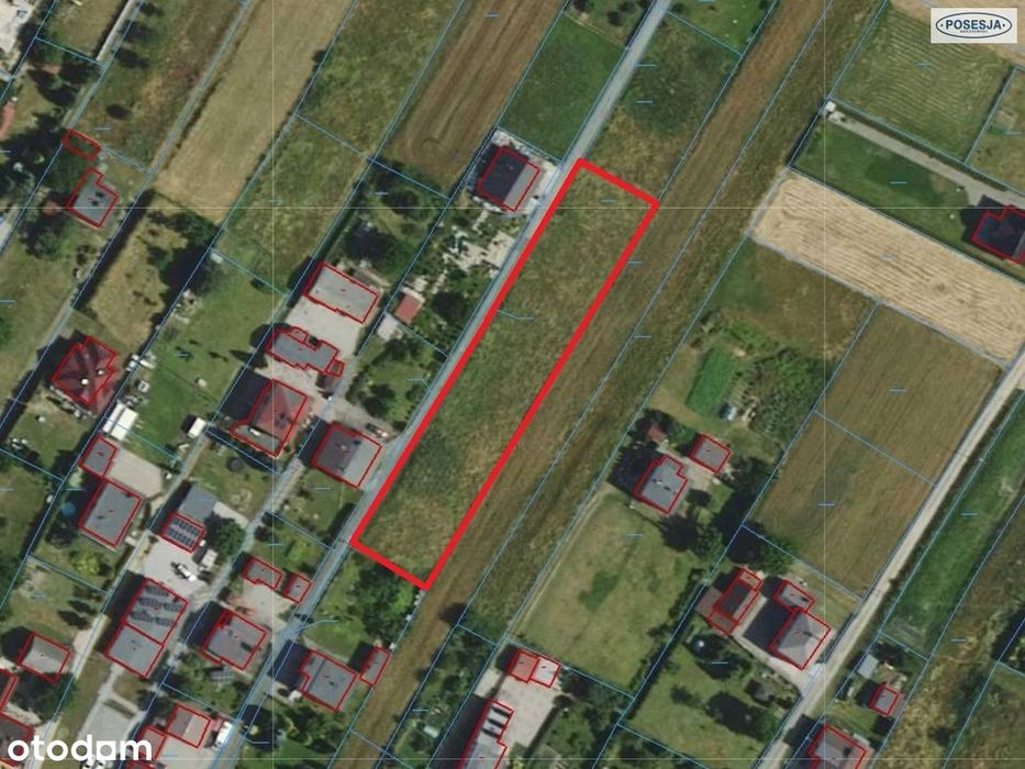 Oferta dla dewelopera