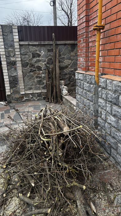 Дрова безкоштовно самовивіз