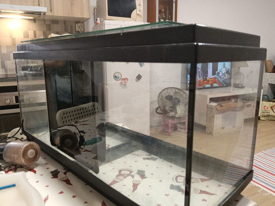 Vendo aquário termóstato e bomba