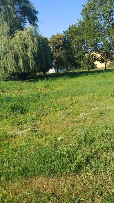 Działka budowlana z WZ Kwidzyn - Widok 4