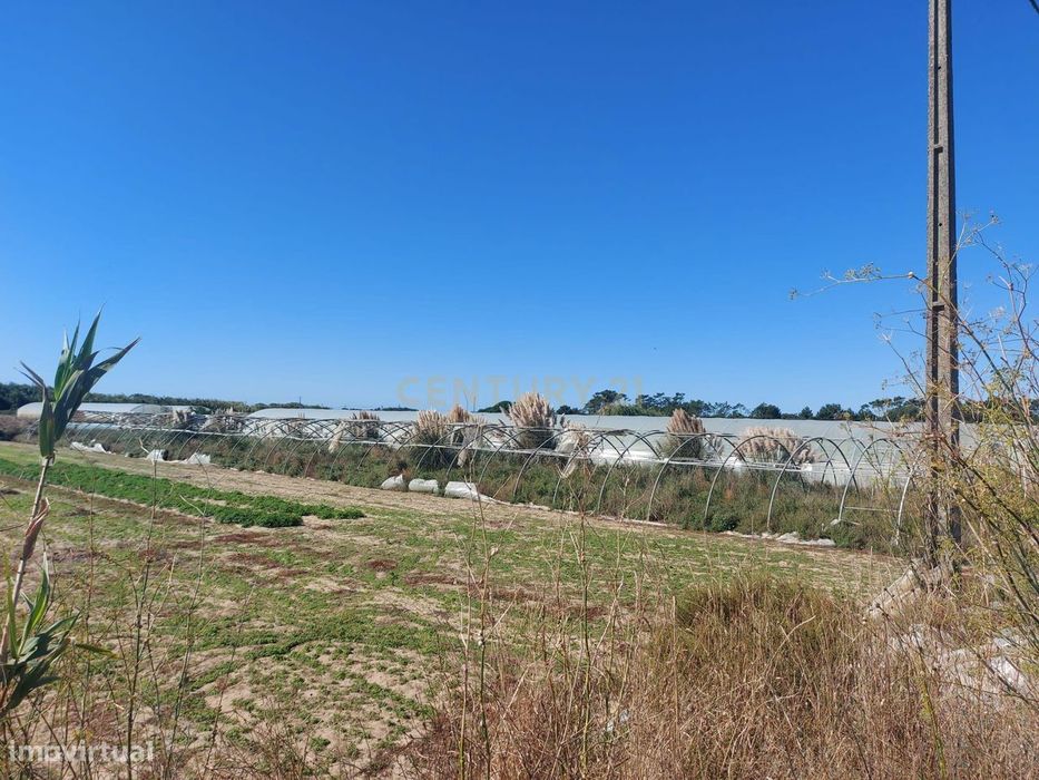 Terreno Rustico em Estela Maninho — Estela, Porto