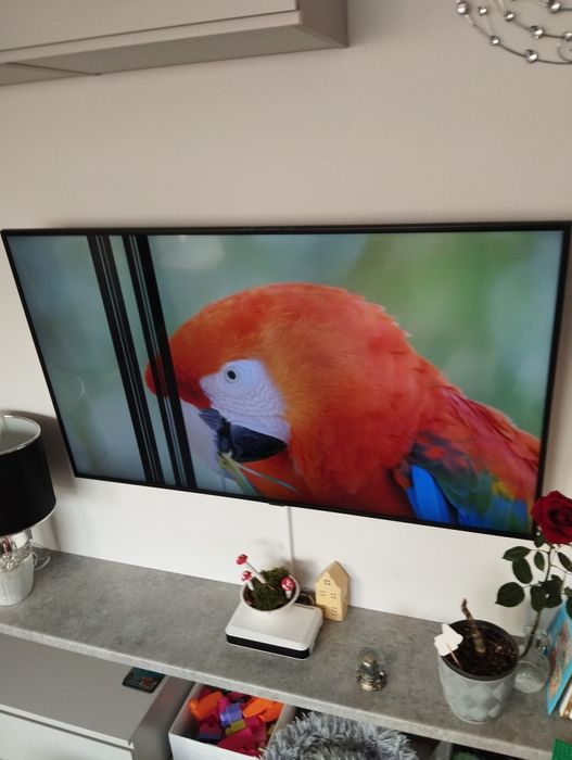 Telewizor Samsung Led 55 cali 2019 r. uszkodzona matryca