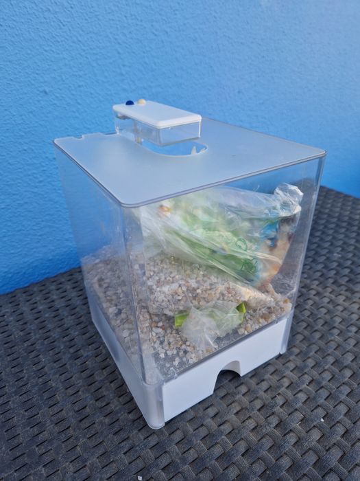 Aquário para peixe beta com LED (acessórios incluídos)