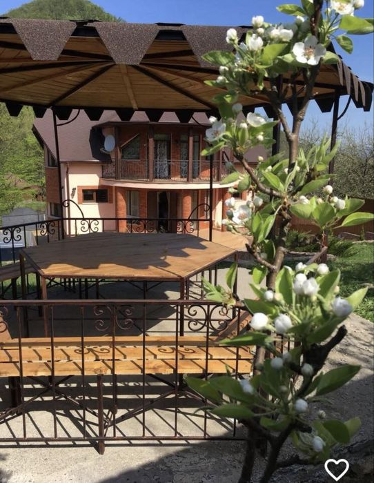 Здаєтся будинок в Шаяні, Закарпатська обл